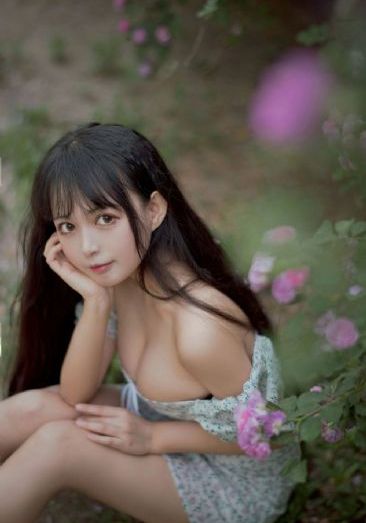 爱唱歌的大姐姐第二季在线观看_DVD手机免费观看完整